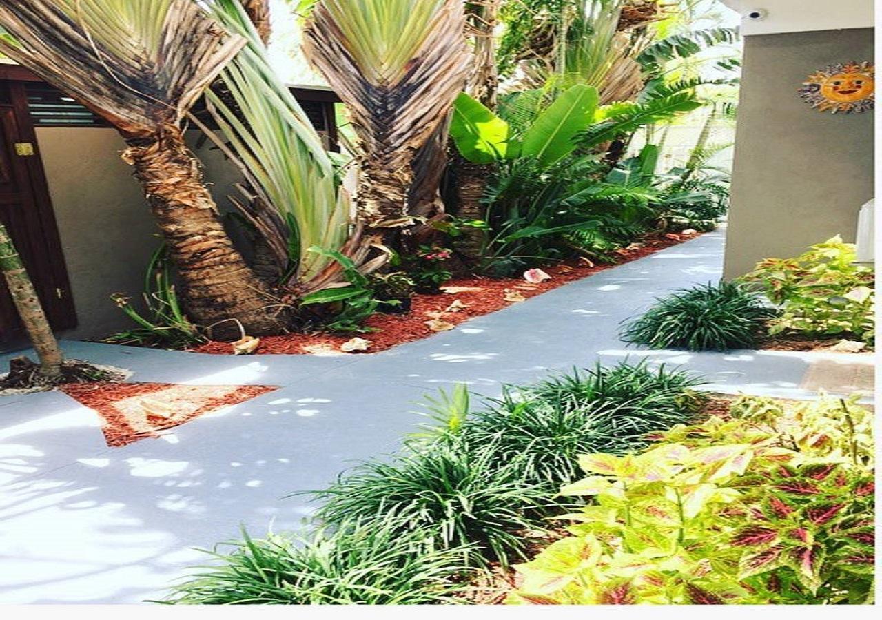 شقة The Oasis Retreat ناسو المظهر الخارجي الصورة